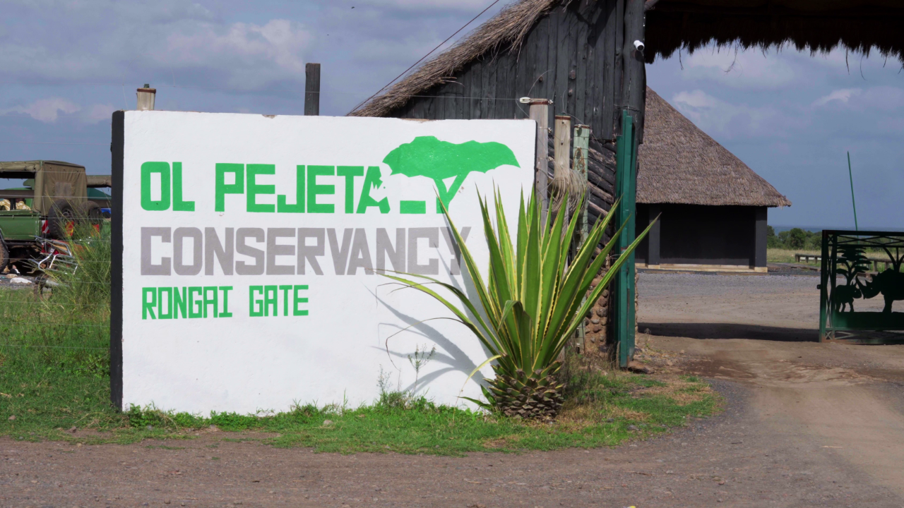 The Path to Zero Poaching